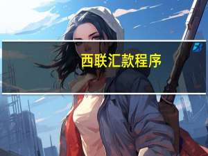 西联汇款程序