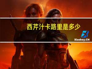 西芹汁卡路里是多少