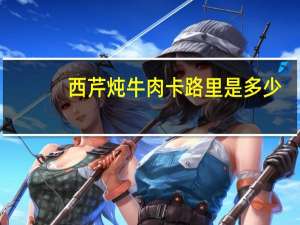 西芹炖牛肉卡路里是多少