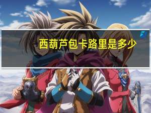 西葫芦包卡路里是多少