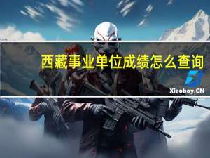 西藏事业单位成绩怎么查询