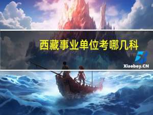 西藏事业单位考哪几科