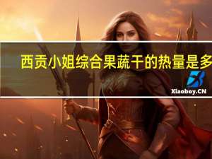 西贡小姐 综合果蔬干的热量是多少