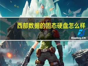 西部数据的固态硬盘怎么样