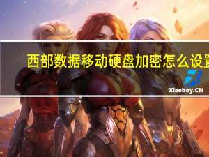 西部数据移动硬盘加密怎么设置（西部数据移动硬盘怎么样）