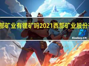 西部矿业有锂矿吗2021 西部矿业股份有限公司