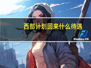 西部计划回来什么待遇