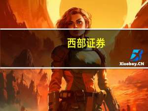 西部证券：闻泰科技安世半导体大幅强于行业维持“买入”评级