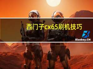 西门子cx65刷机技巧（西门子cx65）