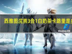 西雅图 浣熊3合1白奶茶卡路里是多少