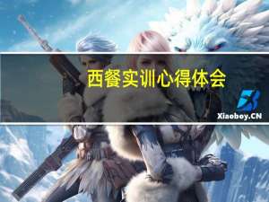 西餐实训心得体会