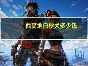 西高地白梗犬多少钱