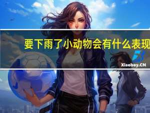 要下雨了小动物会有什么表现