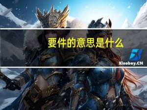 要件的意思是什么