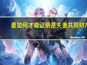 要如何才能证明是夫妻共同财产