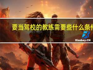 要当驾校的教练需要些什么条件
