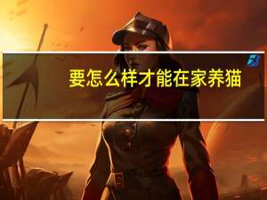 要怎么样才能在家养猫