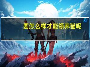 要怎么样才能领养猫呢