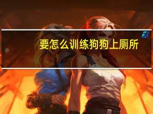 要怎么训练狗狗上厕所