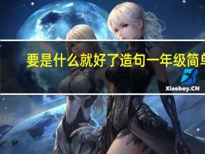 要是什么就好了造句一年级简单