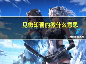 见微知著的微什么意思（见微知著的事例）