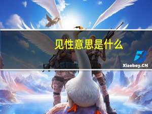 见性意思是什么