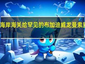 见西海岸海关给罕见的布加迪威龙曼索里奥迪油漆