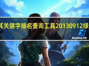 观其关键字排名查询工具 20130912 绿色免费版（观其关键字排名查询工具 20130912 绿色免费版功能简介）
