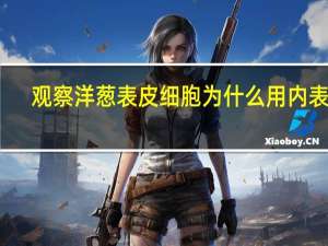 观察洋葱表皮细胞为什么用内表皮