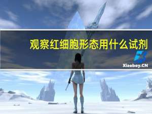 观察红细胞形态用什么试剂