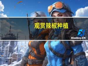 观赏辣椒种植：一年四季均可播种繁殖