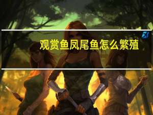 观赏鱼凤尾鱼怎么繁殖（凤尾鱼繁殖预兆图）
