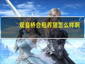观音桥合租养猫怎么样啊