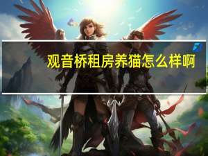 观音桥租房养猫怎么样啊