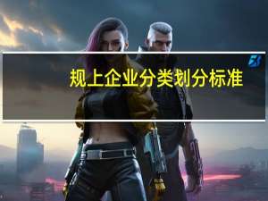 规上企业分类划分标准