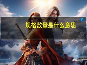 规格数量是什么意思