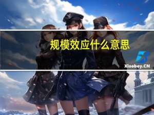 规模效应什么意思（规模效应）
