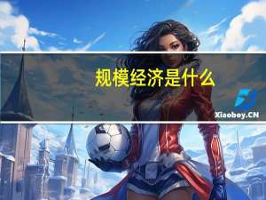 规模经济是什么