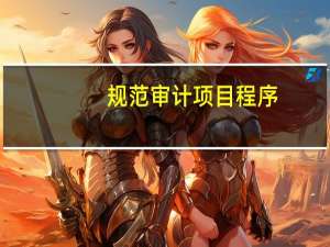 规范审计项目程序