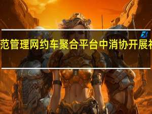 规范管理网约车聚合平台 中消协开展社会监督