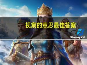 视察的意思最佳答案（视察的意思）