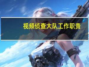 视频侦查大队工作职责