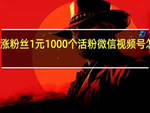 视频号涨粉丝1元1000个活粉 微信视频号怎么推广引流(视频号如何快速做到1万粉丝的方法论)