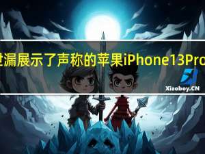 视频泄漏展示了声称的苹果iPhone13ProMax保护壳