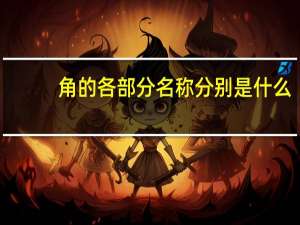 角的各部分名称分别是什么