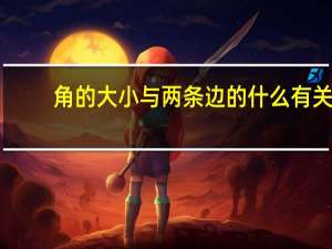 角的大小与两条边的什么有关
