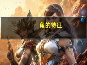 角的特征