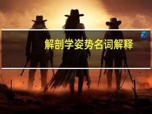 解剖学姿势名词解释