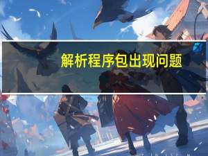 解析程序包出现问题