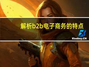 解析b2b电子商务的特点